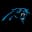 Carolina Panthers