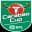 EFL Cup